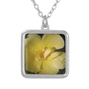 Wild Yellow Rose Silver Plated Necklace
