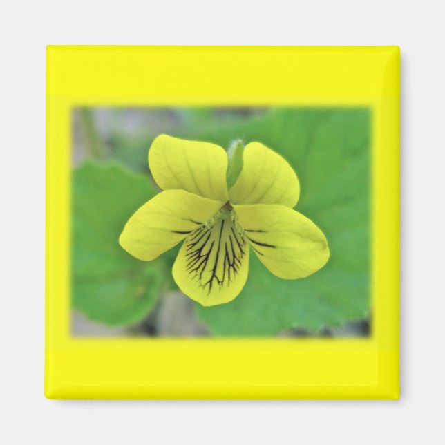 Wild Yellow Violet Coordinating Items Magnet (Front)