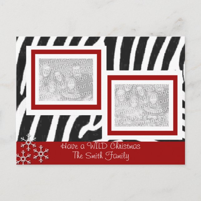 Wild ZEBRA Christmas Holiday Postcard (Front)
