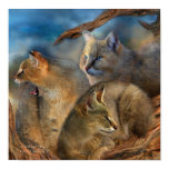 Wildcat Day Art Poster/Print Poster