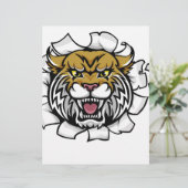 Wildcat Holding Cricket Ball Breaking Background (Standing Front)