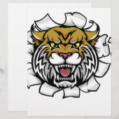 Wildcat Holding Cricket Ball Breaking Background (Front/Back)