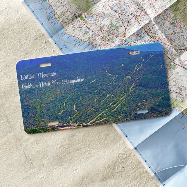 Wildcat Mountain License Plate (In Situ)