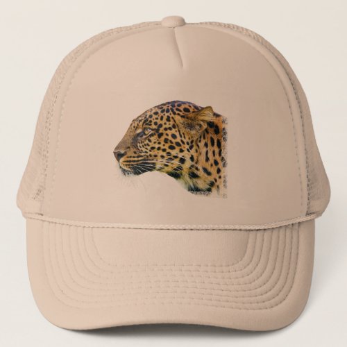 Wildcat Trucker Hat