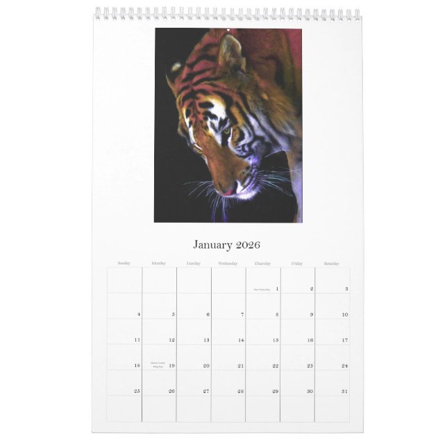 Wildcat, Wild Cats Calendar (Jan 2026)