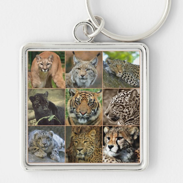 Wildcats Keychain (Front)