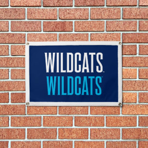 Wildcats Wildcats Wordmark Logo Pennant