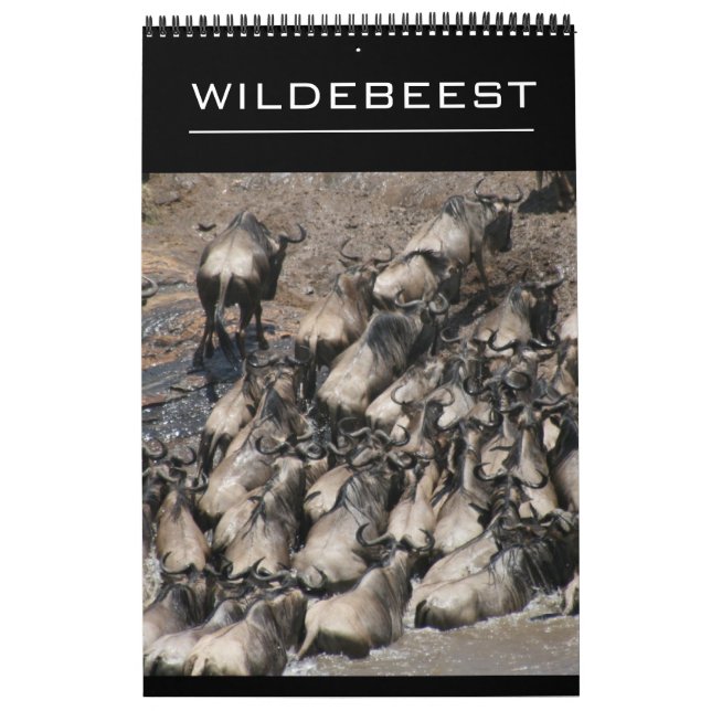 wildebeest calendar (Cover)
