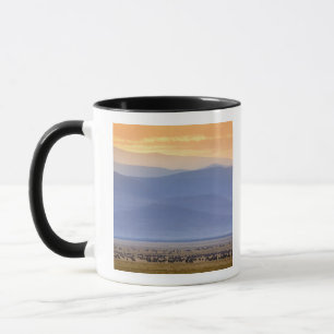 Wildebeest during migration, Connochaetes Mug