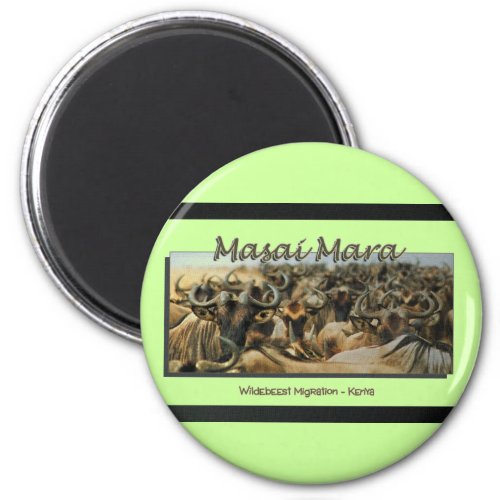 Wildebeest  Gnu migration safari magnets