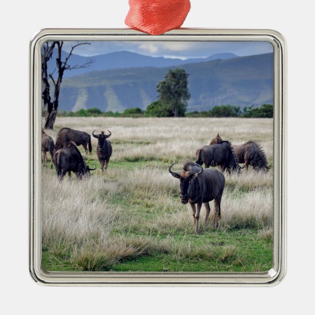 Wildebeest herd metal ornament (Front)