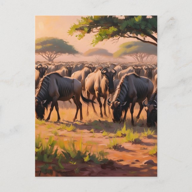 Wildebeest in savannah postcard (Front)
