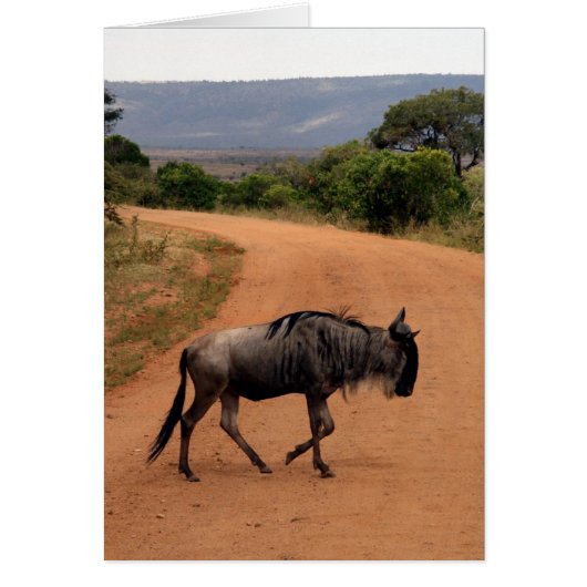 wildebeest road cards (Front)