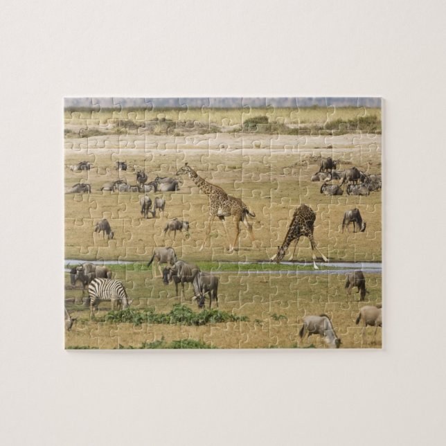 Wildebeests, Zebras and Giraffes Jigsaw Puzzle (Horizontal)
