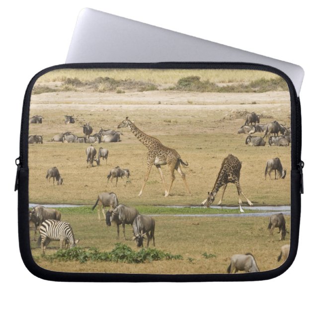 Wildebeests, Zebras and Giraffes Laptop Sleeve (Front)
