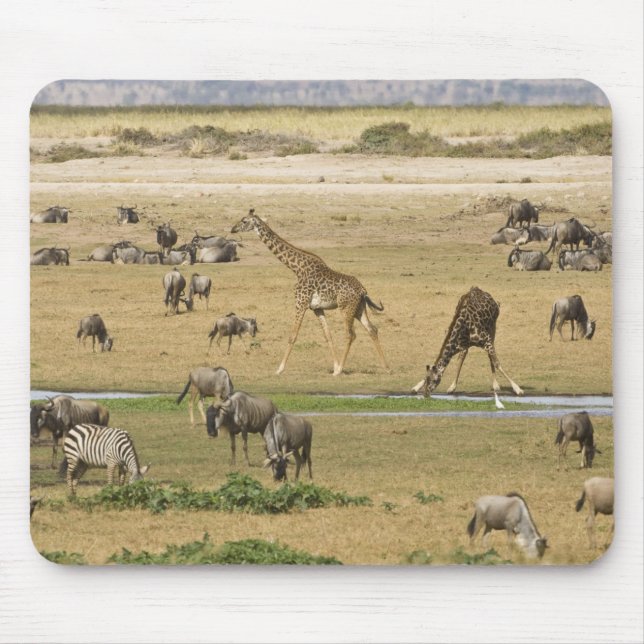 Wildebeests, Zebras and Giraffes Mouse Pad (Front)