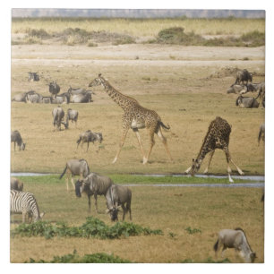 Wildebeests, Zebras and Giraffes Tile