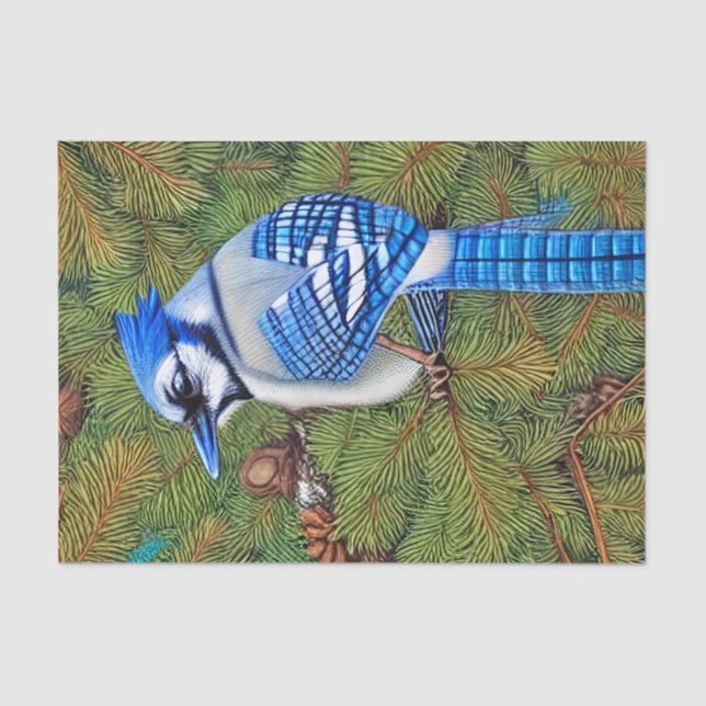 Wilderness Evergreen Blue Jay Tissue Paper (Front)