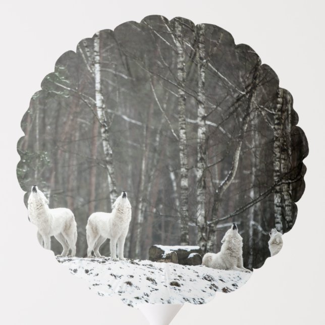 Wilderness Polar Wolf Balloon (Back)