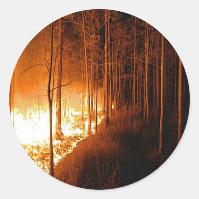 Wildfire Blaze Classic Round Sticker (Front)