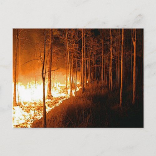 Wildfire Blaze Postcard