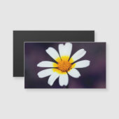 Wildflower (Front/Back)