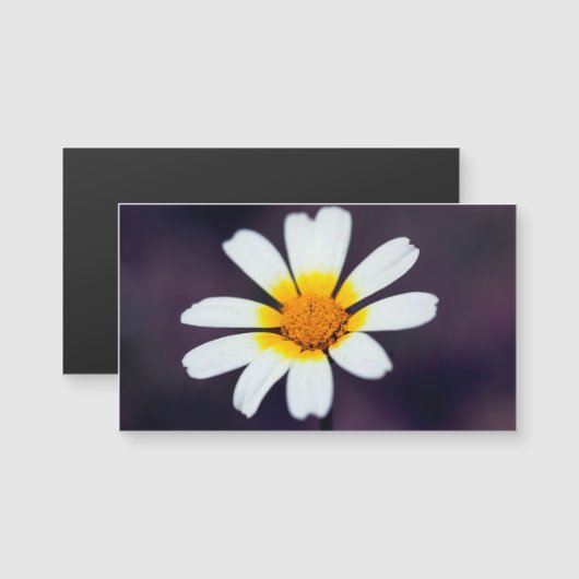 Wildflower (Front/Back)