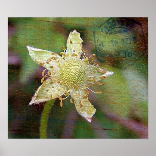 Wildflower 4 poster (Front)