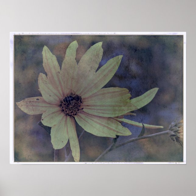 Wildflower and Bee Poster (Front)