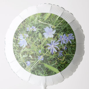 Wildflower Balloon