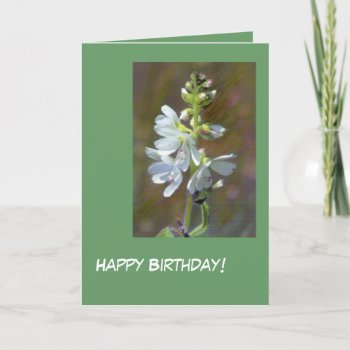 Wildflower Birthday Card by bluerabbit at Zazzle