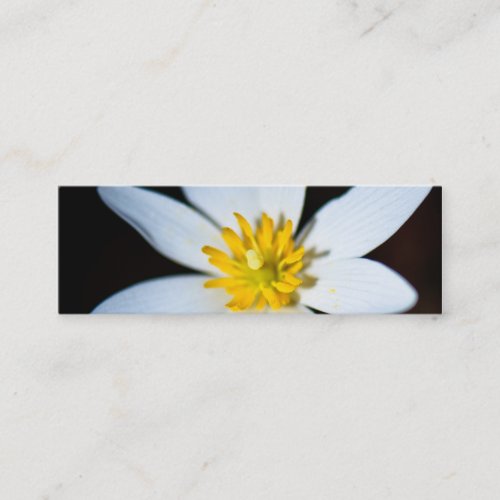 Wildflower Bookmark  Contact Card