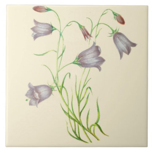 Wildflower Ceramic Kitchen Tile Campanula