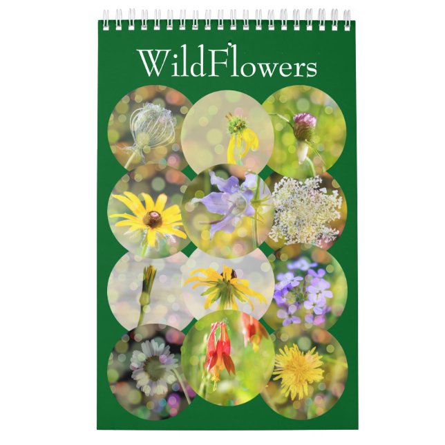 Wildflower Close-Up Portrait Photography Calendar (Cover)