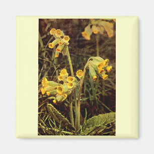 Wildflower: Cowslip Magnet