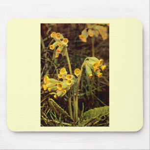 Wildflower: Cowslip Mouse Pad