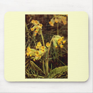 Wildflower: Cowslip Mouse Pad