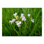 Wildflower delight (Front Horizontal)