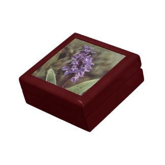 Wildflower: Early Purple Orchids Gift Box