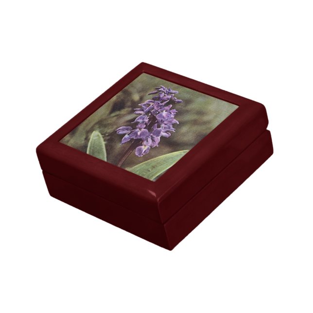 Wildflower: Early Purple Orchids Gift Box (Side)