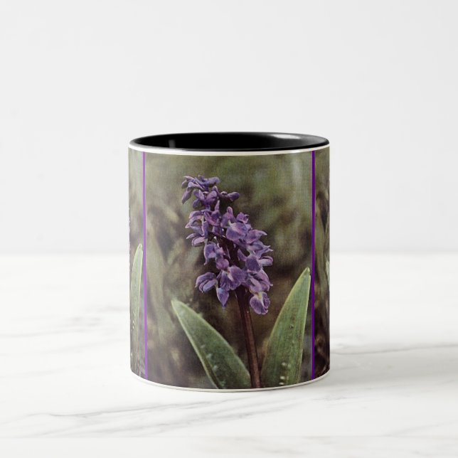 Wildflower: Early Purple Orchids Two-Tone Coffee Mug (Center)