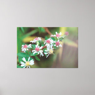 Wildflower Extra Large Canvas