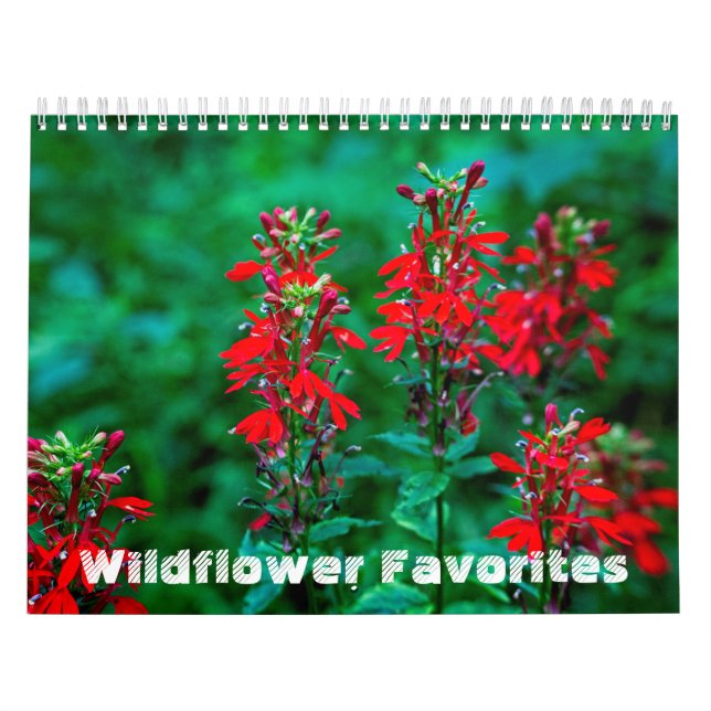 Wildflower Favorites #1 Calendar (Cover)