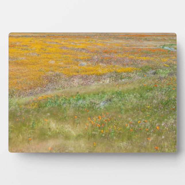 Wildflower Field Plaque (Front)