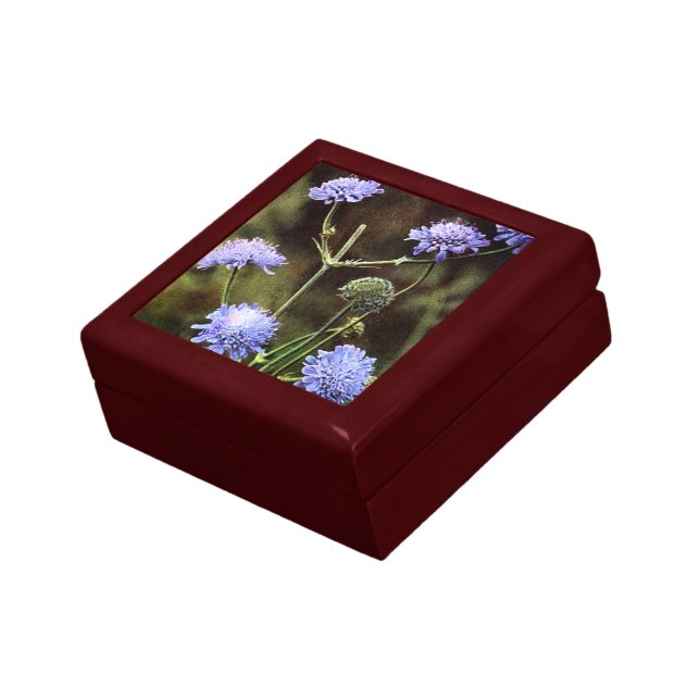 Wildflower: Field Scabious Flower Gift Box (Side)