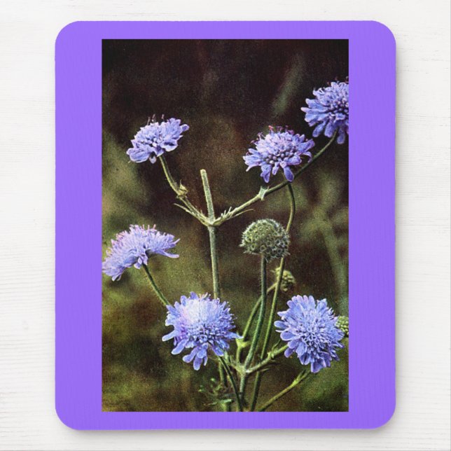 Wildflower: Field Scabious Mouse Pad (Front)