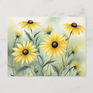 Wildflower Field with Black Eyed Susans Postcard