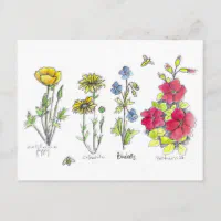 Vintage Postcards, Wildflowers - FLAX art & design