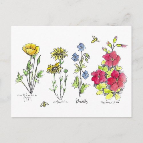 Wildflower Garden Botanical Watercolor Art Bees Postcard