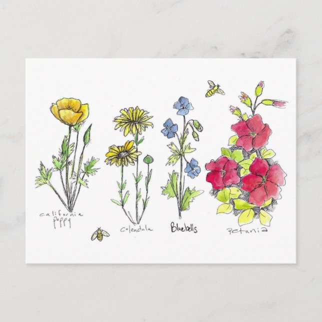 Wildflower Garden Botanical Watercolor Art Bees Postcard (Front)
